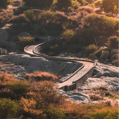 Jawai Tour Package 2n 3days